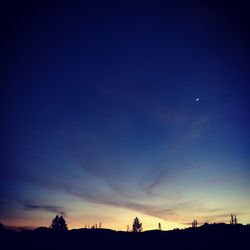 Low angle view of silhouette trees against sky at night