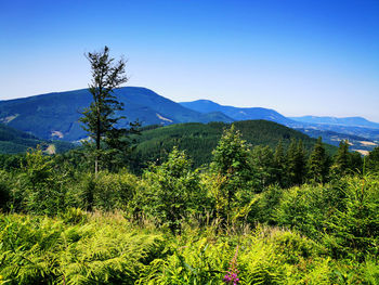 Scenic view of mountains against clear blue sky