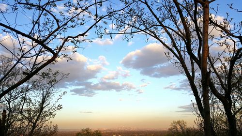 Low angle view of bare tree against sky