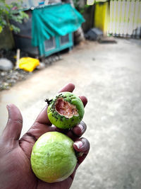 Close-up of fruits on table