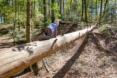 Rear view of man in forest