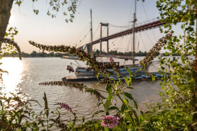 Scenic view of river by bridge against sky