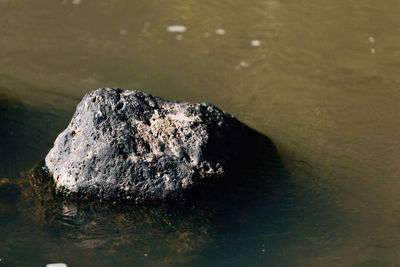 Close-up of rock with reflection in water