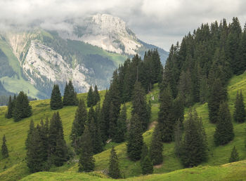 Scenic view of mountains