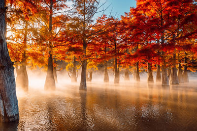 Scenic view of lake against sky during autumn