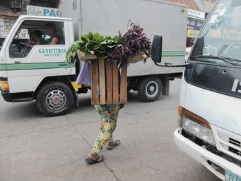 View of flowers in city