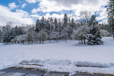 Trees on snow covered landscape against sky