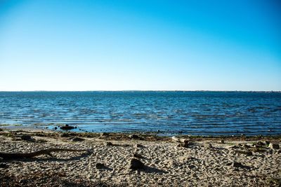 Scenic view of beach against clear blue sky