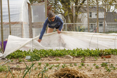 Woman farmer leans over to cover crops with protective cloth in garden