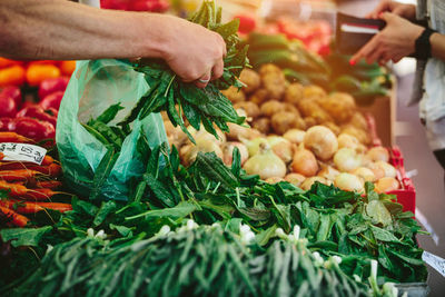 Shopping at farmers' market. farmer's hands picking salad.