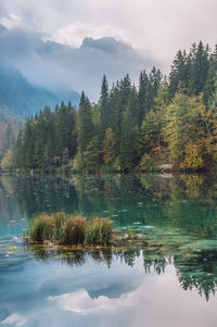 Scenic view of lake by trees against sky