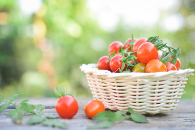 Close-up of cherry tomatoes in wicker basket on table