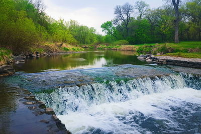 River flowing through forest