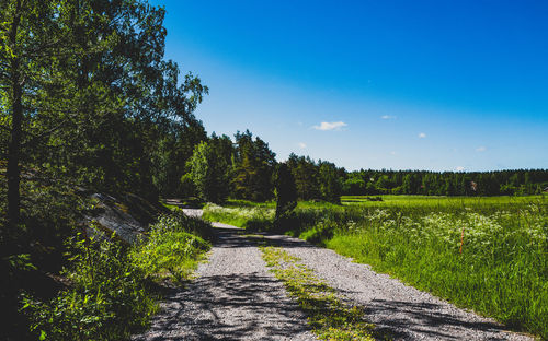 Road amidst trees against clear blue sky