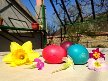 Multi colored flowers in garden