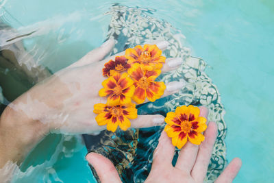 Cropped hand of man and woman holding flower in swimming pool