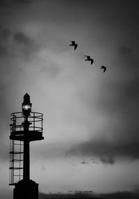 Low angle view of silhouette birds flying in sky