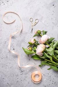 High angle view of rose on table