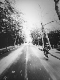 Road passing through trees