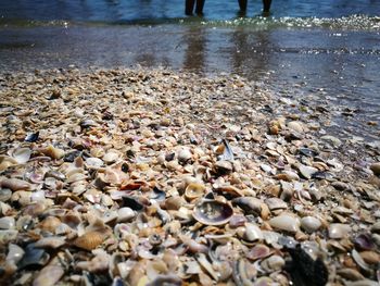 View of pebbles on beach