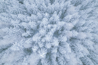 Full frame shot of snow covered field