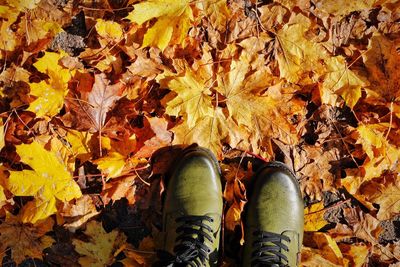 Low section of man standing on yellow maple leaves