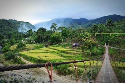 Road leading towards mountains