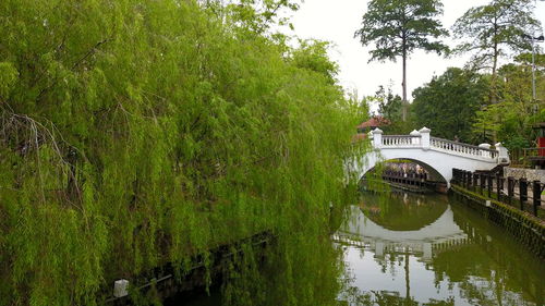 Arch bridge over lake against trees