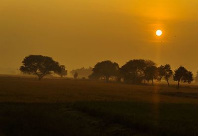 Silhouette trees on field against sky during sunset