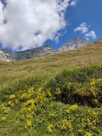 nature