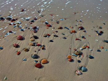 High angle view of crowd on beach