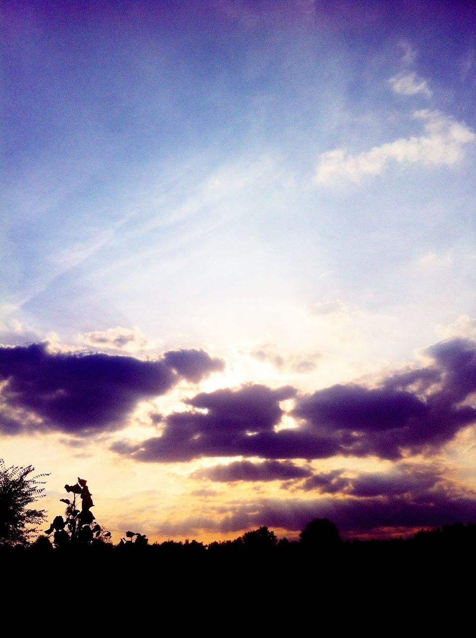 silhouette, sunset, sky, tranquil scene, scenics, tranquility, beauty in nature, cloud - sky, nature, idyllic, cloud, tree, landscape, dramatic sky, low angle view, majestic, outline, dark, blue, dusk