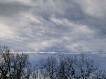 Bare trees against cloudy sky