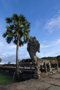 Coconut palm tree against blue sky