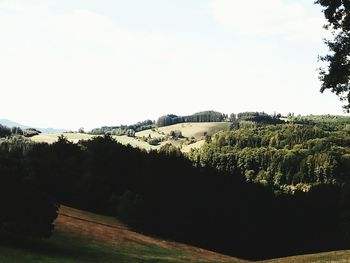 Scenic view of trees on field against sky