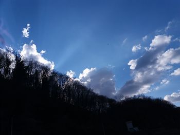 Low angle view of silhouette trees against sky