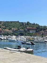 Sailboats moored in harbor