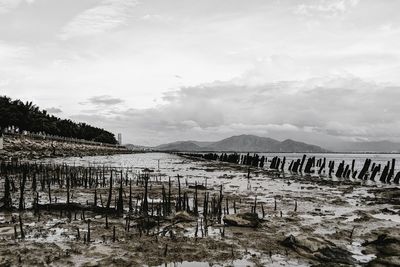 Scenic view of wooden posts against sky