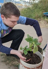 High angle view of young man holding potted plant