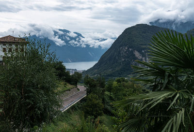 Scenic view of tree mountains against sky