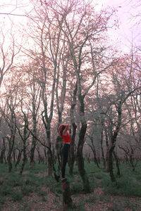 Man standing by bare trees in forest