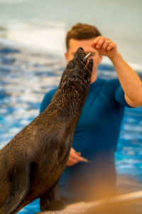 An unidentified man feeding fish to a seal against blurred background, selective focus