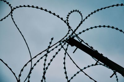 Close-up of chainlink fence