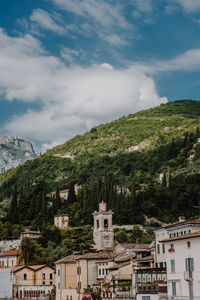 Trees and buildings against sky