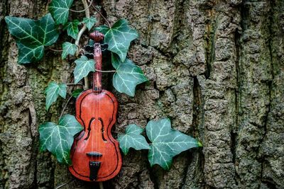 Violin hanging on tree trunk