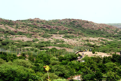 Scenic view of landscape against clear sky