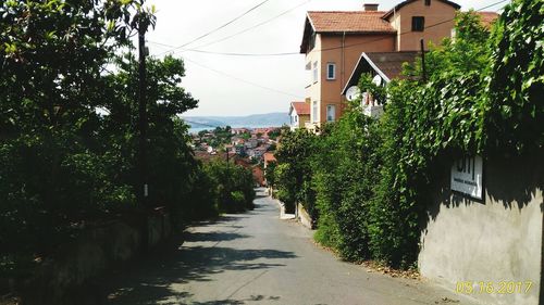 Street amidst houses and trees against sky