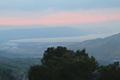 High angle view of trees on landscape against sky