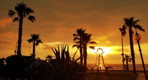 Silhouette palm trees on beach against sky during sunset