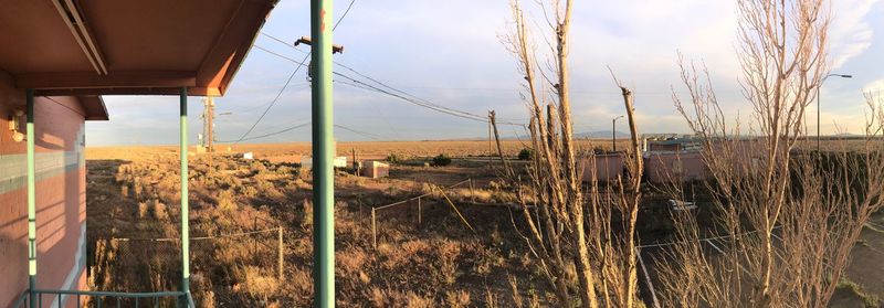 Plants growing on land against sky